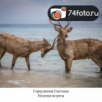 Дипломные работы студентов набора \"Февраль-2013\"